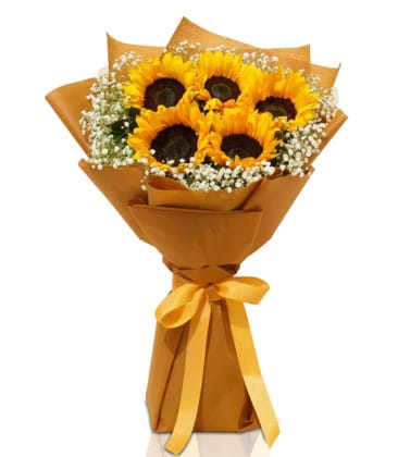 Francisco Ayçiçeği