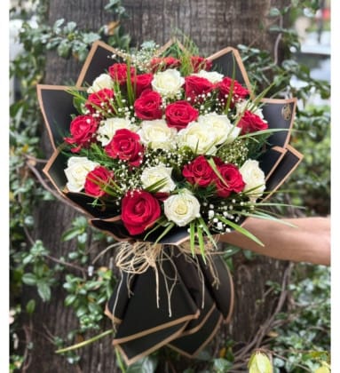 Kırmızı Beyaz Aşk