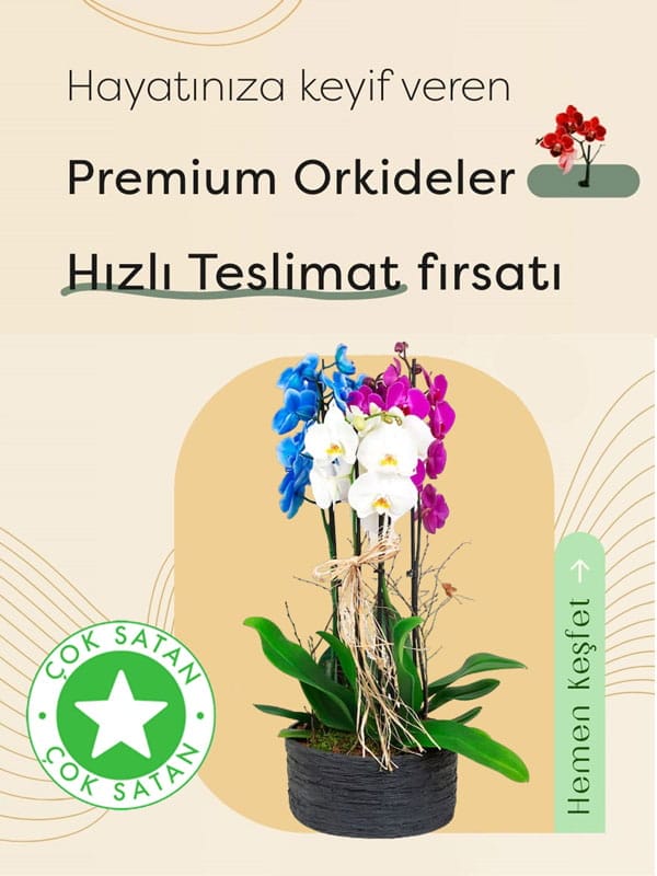 Eğirdir Gültekin Çiçekçilik | Isparta Eğirdir Merkezli İlçelere Çiçekçi Hizmeti